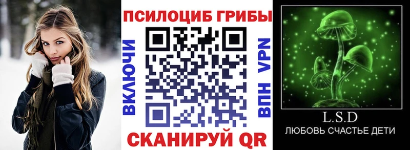 кракен ТОР  Боровск  Галлюциногенные грибы прущие грибы 